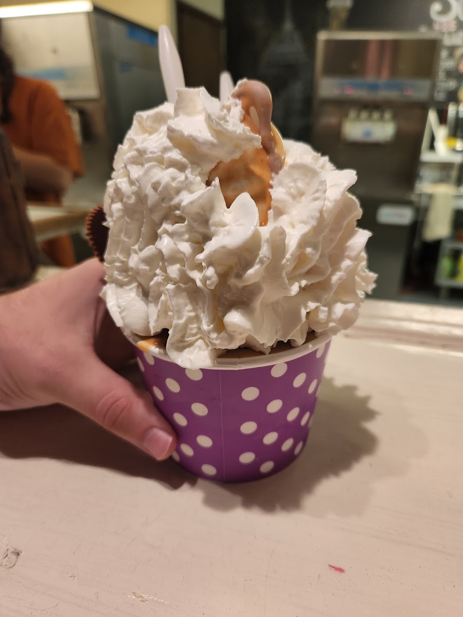King Cone